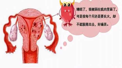<b>上海助孕机构,上海供卵试管生</b>