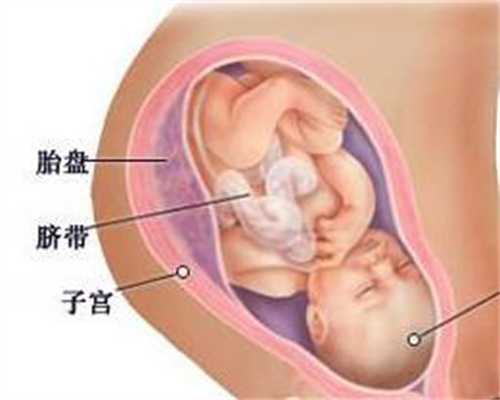上海代孕正规靠谱-世一堂小分子活性肽提醒：中了5条以上，说明你身体很健康