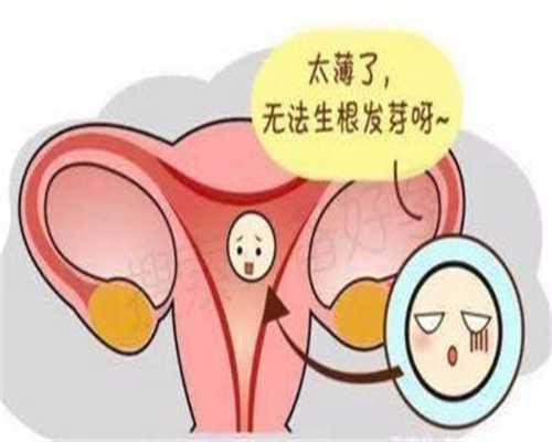 上海代孕中心咨询-爆笑GIF图片：只要跟猫做这个动作，猫就一定有求必应