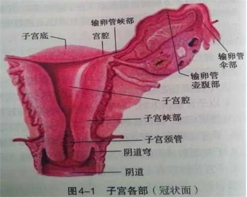 上海在代孕包成功套餐-生儿子生女儿如何控制？列列看还真有100%成功的办法