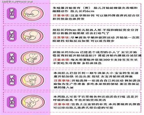 上海代孕哪里做最好-哪些情况需要选择剖宫产？剖宫产还有很多未知的风险