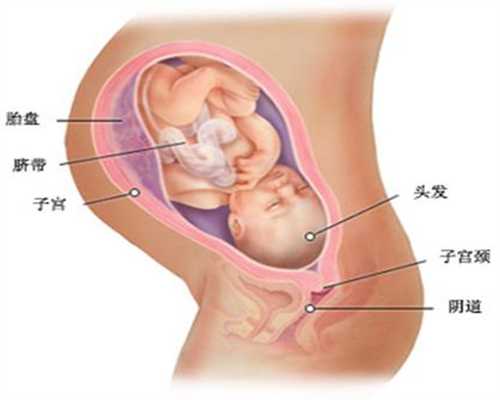 上海代孕生殖中心供卵-有趣的遗传说法，看看你的娃会继承你点啥？