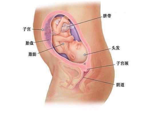 上海想找个农村女代孕怎样联系-愈来愈难搞!产后阴道变松了吗？