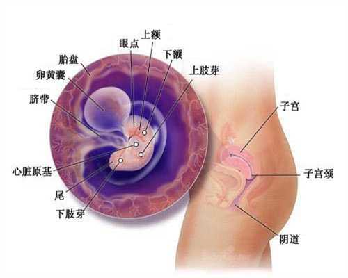 上海试管代孕解决生育困扰-头胎是女儿该生二胎吗