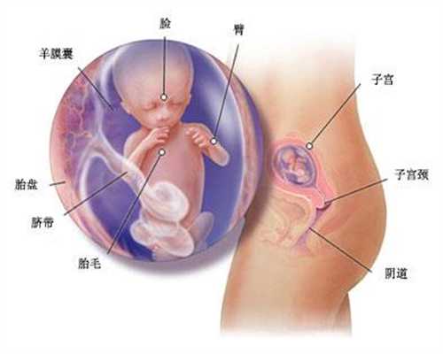 上海找代孕生小孩-月子米酒水哪里有卖