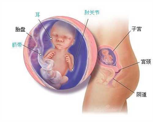 上海我想找个代孕哪里有-产后收腹带原来要这样用！你知道吗？