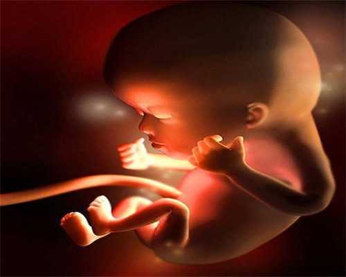 上海试管代孕成功率有多-胎儿缺氧会有什么后果