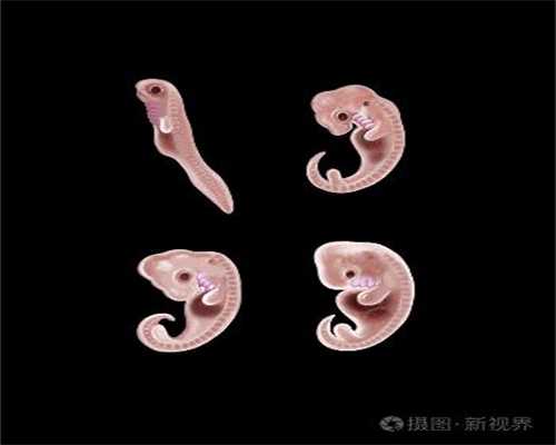 上海代孕机构包生双胞胎_上海代孕需要血型一样吗
