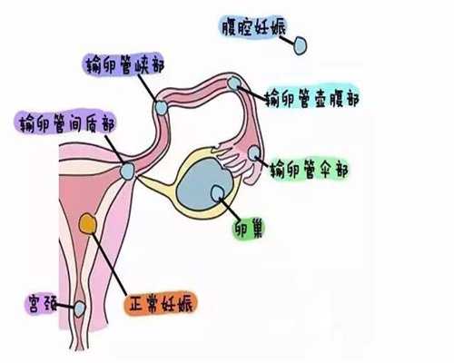 上海代孕可靠吗_上海2021年代孕在规制中进行