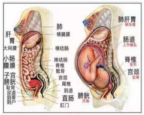 上海那儿代孕_上海不孕不育代孕机构哪里有