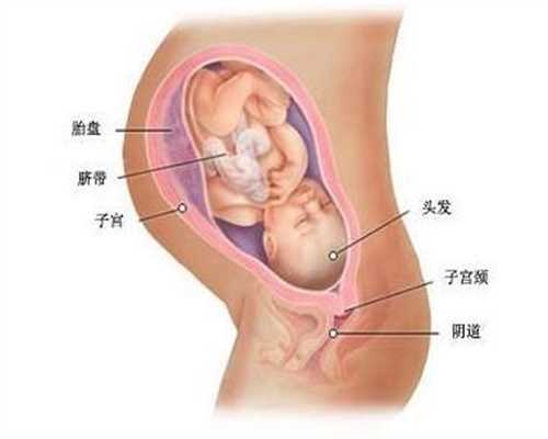 上海在做代孕是个什么感受_上海代孕试管互动百科