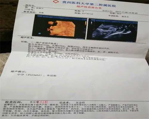 上海60万以上做代孕_代孕分布