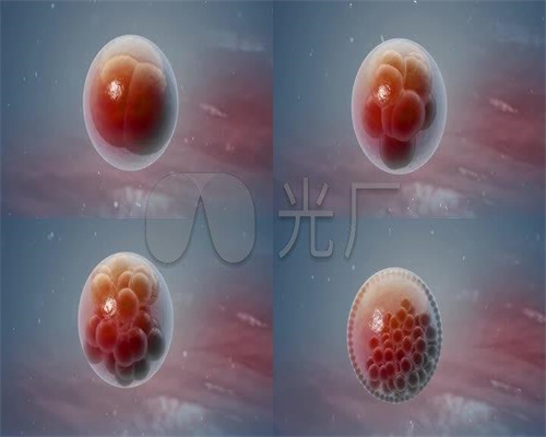 上海宝贝计划试管中心_代孕人工受精_人类第一例试管婴儿_第三代试管婴儿是什