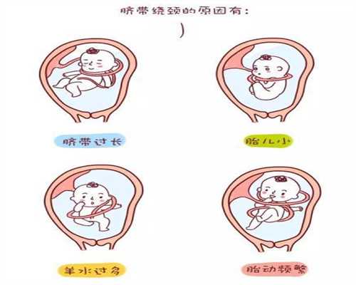 卵巢早衰怀孕的姐妹_代孕上海那家好_泰国试管婴儿一般需要多少钱_泰国做试管
