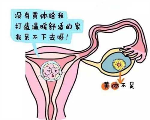 上海我想在做代孕_为什么试管2代生女儿多_美国试管婴儿有名唯美加_美国试管