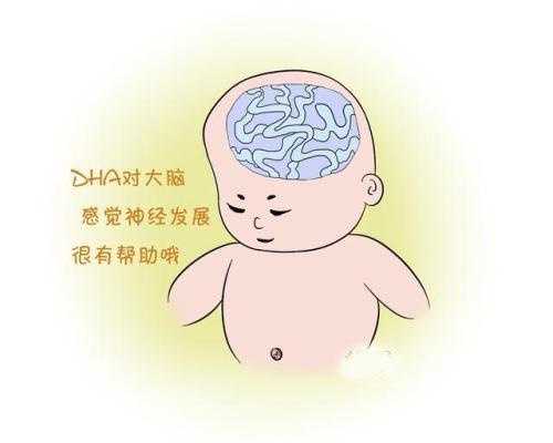 上海试管代孕_供精供卵的试管婴儿是否合法?_能不能直接做试管男婴_没有体检