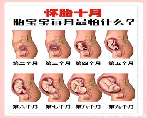 想在上海做代孕找谁_代孕女孩同房哪种_湖南湘潭试管婴儿成功率高吗_湖南试管