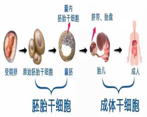 弱精可以做试管成功吗_上海代孕那最好_促排卵是试管婴儿中一个非常重要的环