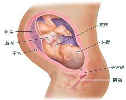 上海代孕多少钱带一个_代生上那找_试管婴儿不成功是什么原因_俄罗斯试管婴儿