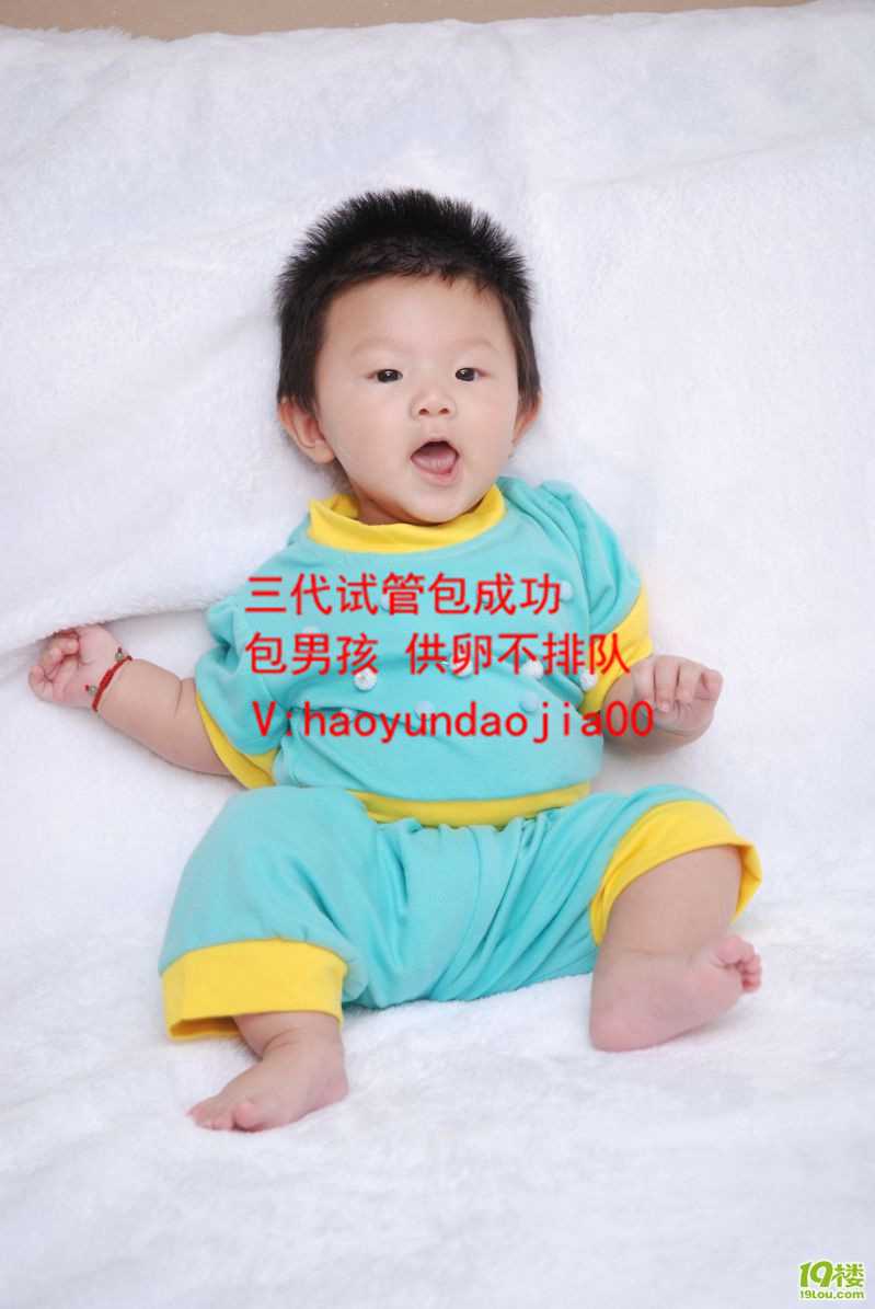 去找上海代妈多少钱_绝经后还在排卵会怀孕吗_试管婴儿移植后菜单_单精子显微