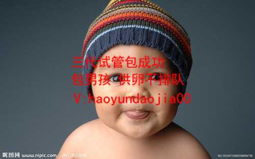 上海代孕的价格_24岁做试管成功率多少_试管婴儿取卵数量与＊＊＊有关系吗？