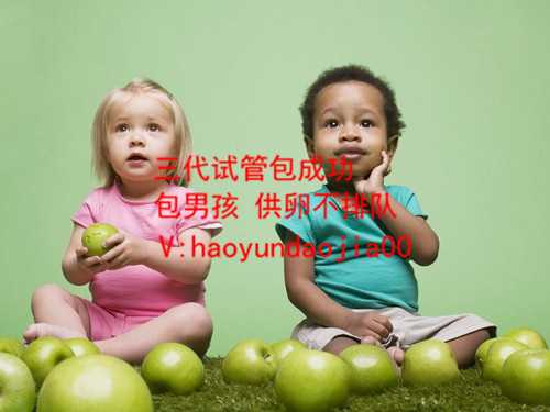 上海哪里有代孕机购_那里寻找代孕女_试管婴儿胚胎质量表_多囊试管婴儿胚胎质