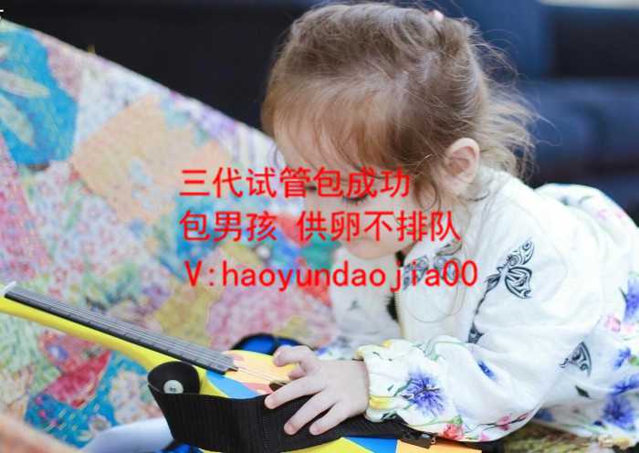 上海代孕那里有吗_40岁怎样才让卵巢恢复_试管婴儿成功几率_试管婴儿成功率