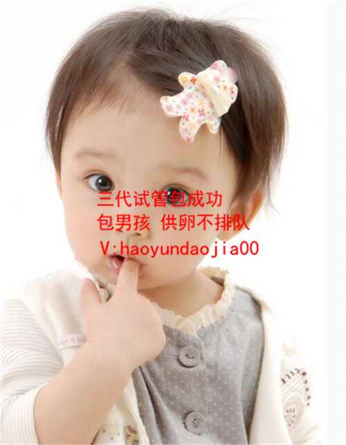 上海个人诚心找代妈_代孕女人那里找_正常人试管婴儿成功率_试管婴儿一次成功