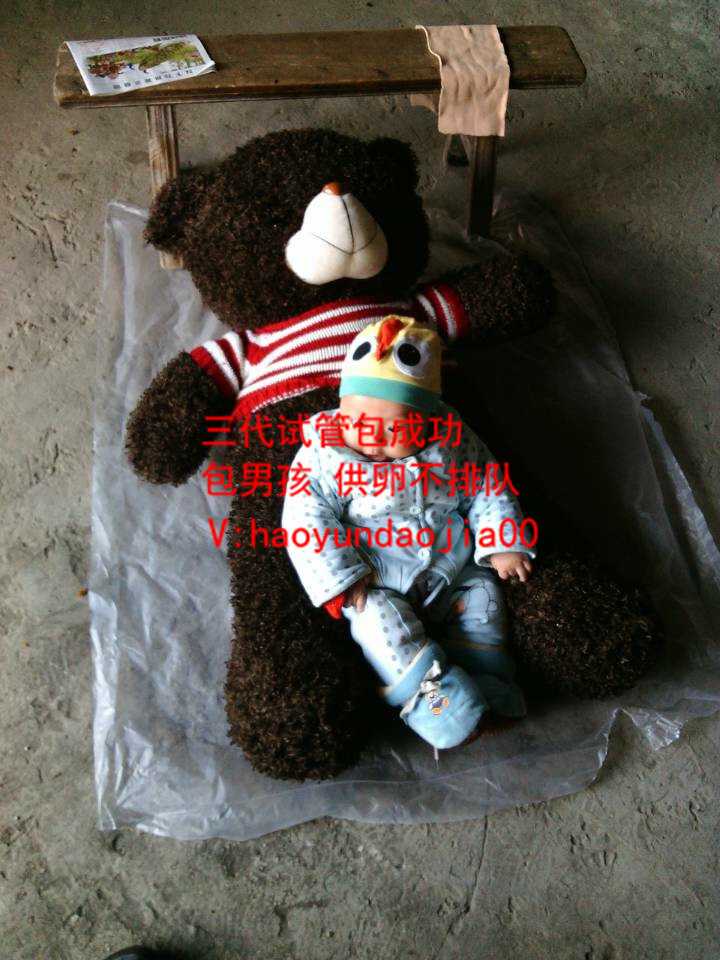 3万找上海代妈_30岁试管双胞胎成功率_上海455医院做试管婴儿_上海455医院第一、
