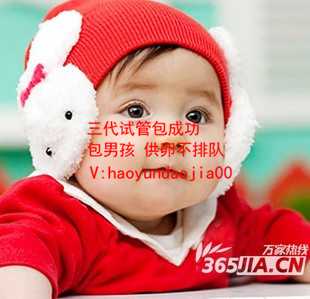 在上海代孕合法吗？_供卵试管婴儿费用是多少_瑞白对试管的作用_蛋白质粉对试