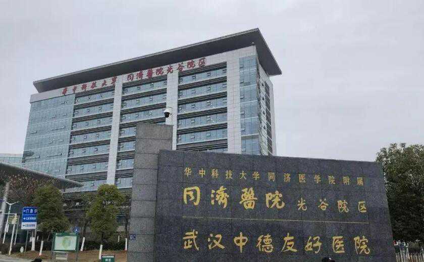 上海试管代孕医疗技术 上海国妇婴生殖医学中心 ‘24三维彩超男女’
